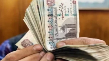 تغيير جهة الصرف.. خطوات تعديل مكان استلام المعاش وحقيقة إقرار زيادات جديدة